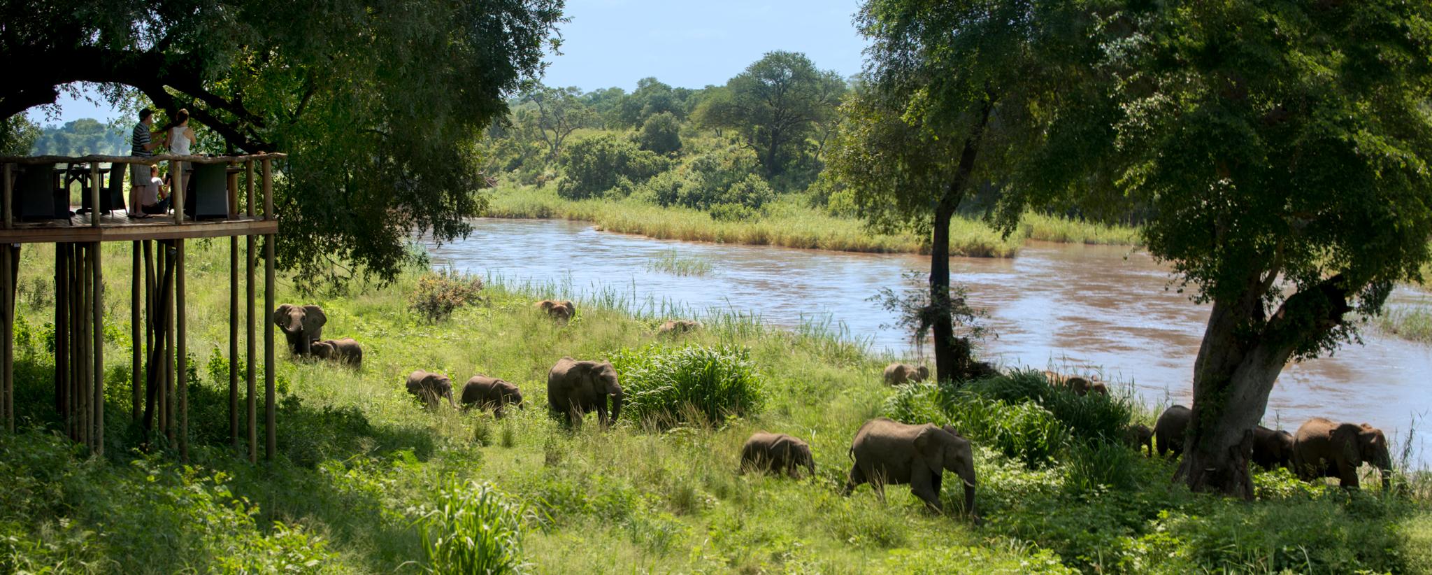 Lion Sands Narina Lodge Riserva di Sabi Sand Esterno foto