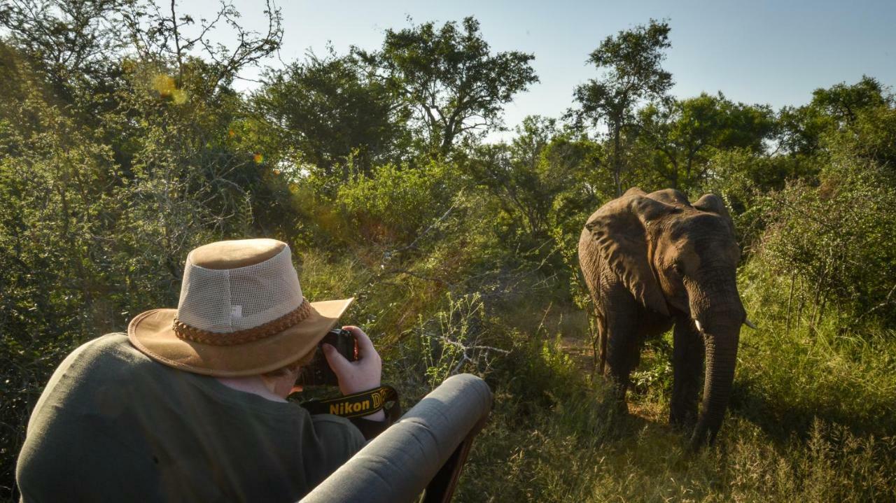 Lion Sands Narina Lodge Riserva di Sabi Sand Esterno foto